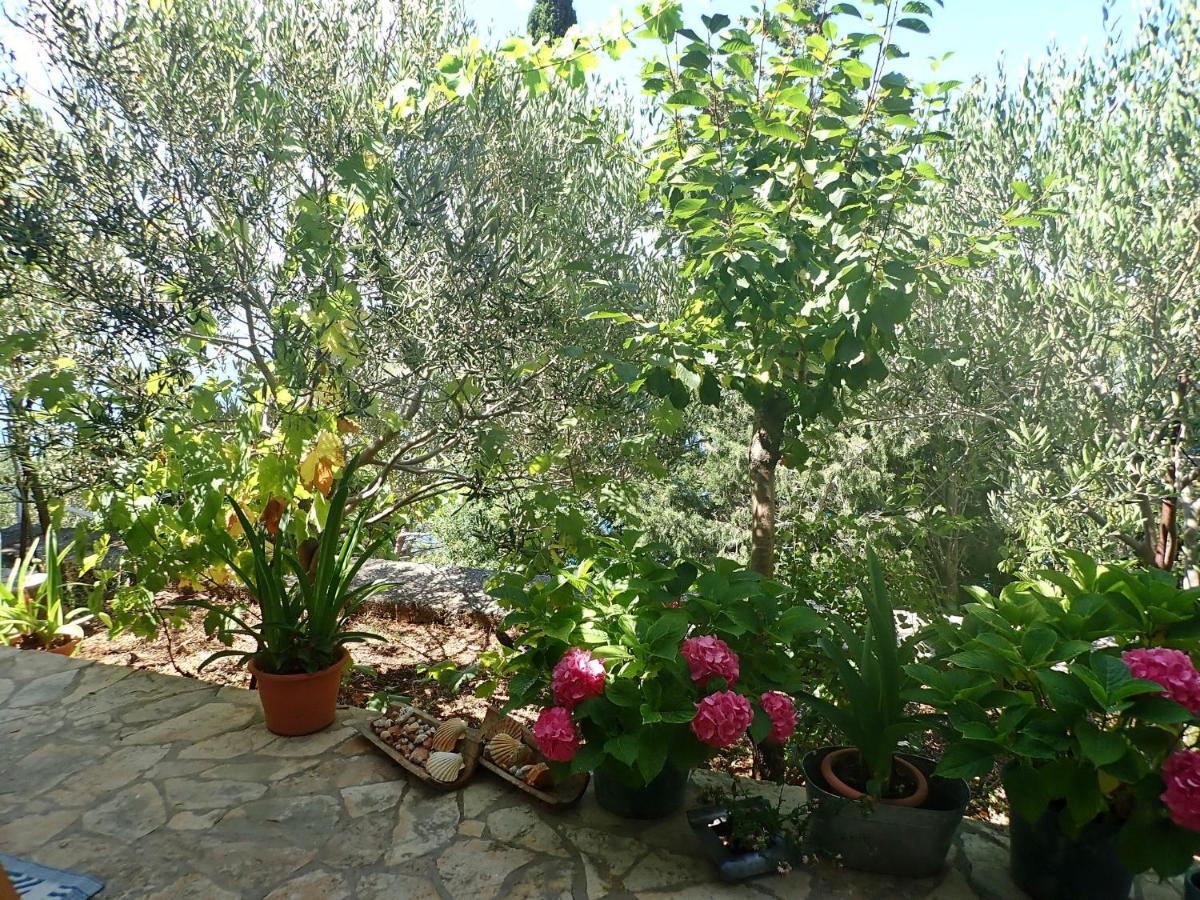 Studio Mare -30 M From A Lonely Beach Barić Draga Dış mekan fotoğraf