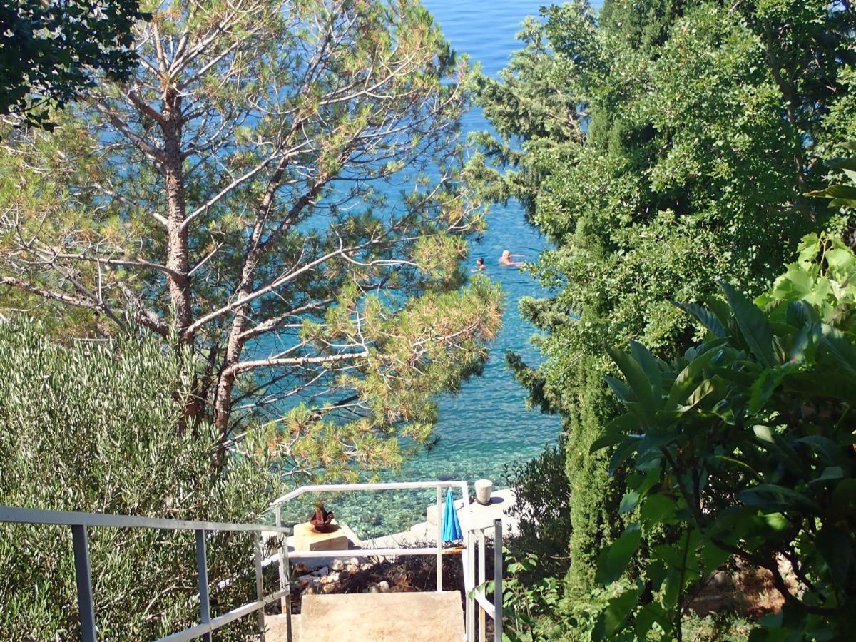 Studio Mare -30 M From A Lonely Beach Barić Draga Dış mekan fotoğraf